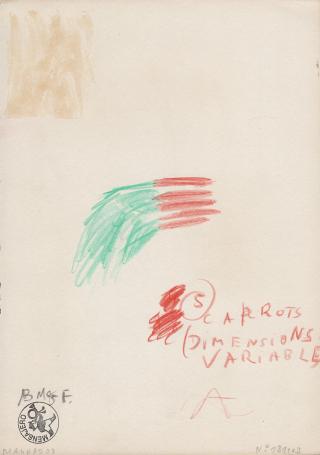 Kunstwerk uit 2007 van de Belgische kunstenaar Werner Mannaers