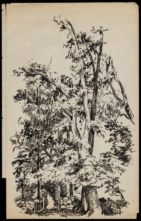 Bomen in het park  van F. Masereel kopen