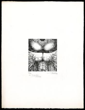 Zwart wit lithografie van Roland Monteyne kopen