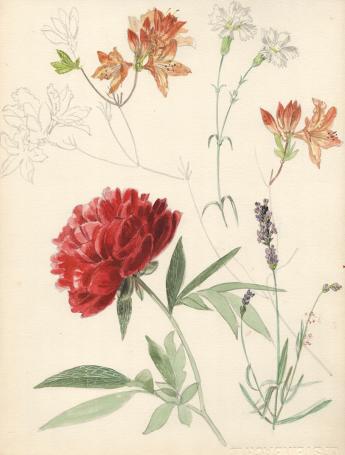 Aquarel van Pascal Van Den Steen kopen
