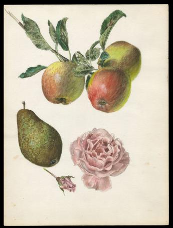 Kunstwerkje, aquarel van Pascal Van Den Steen