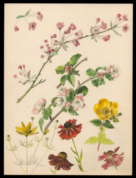 Aquarel van P. Van Den Steen kopen