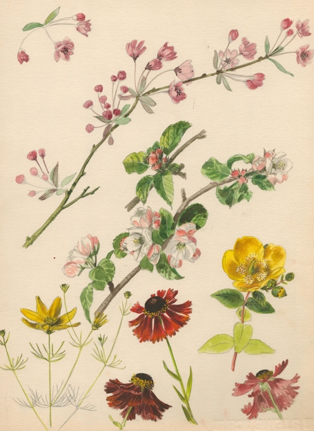 Aquarel van Van Den Steen kopen