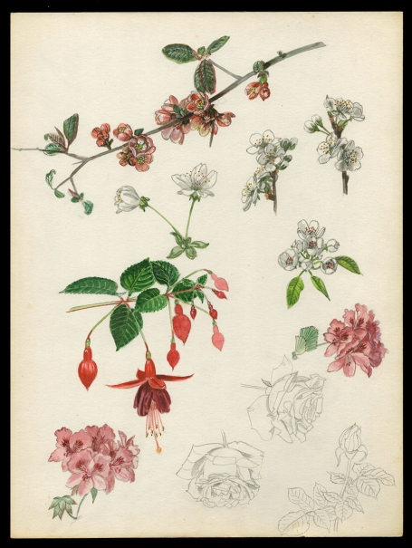 Aquarel van P. Van Den Steen kopen