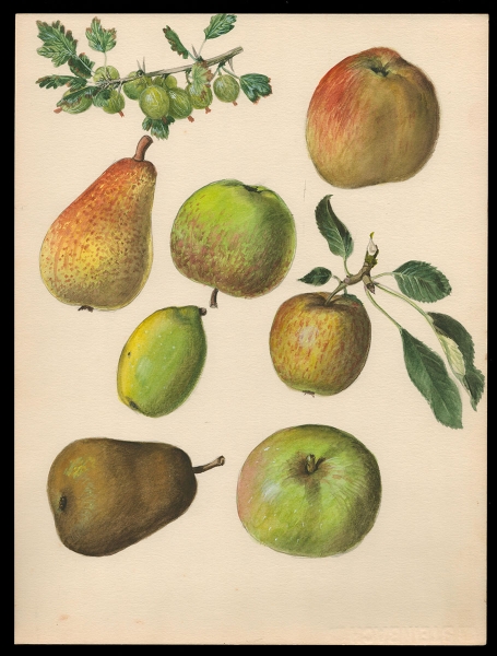 Aquarel van Pascal Van Den Steen kopen