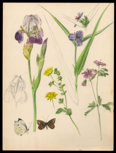 Aquarel van P. Van Den Steen kopen