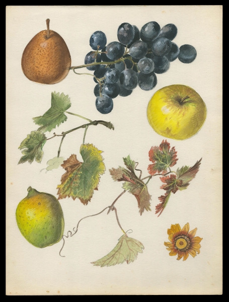 Aquarel van P. Van Den Steen kopen