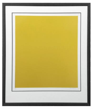 Grafisch kunstwerk van Paul De Vylder kopen
