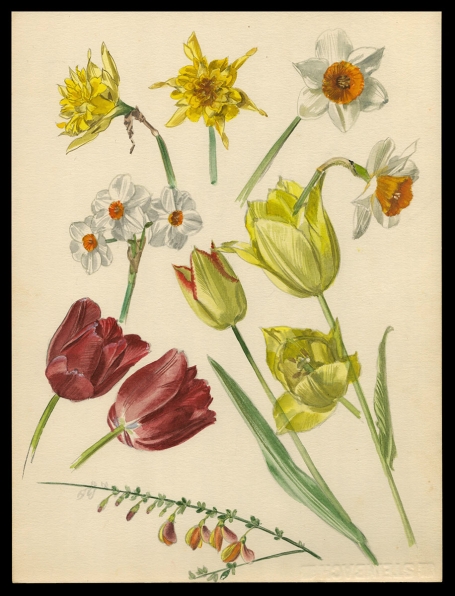 Aquarel van P. Van Den Steen kopen
