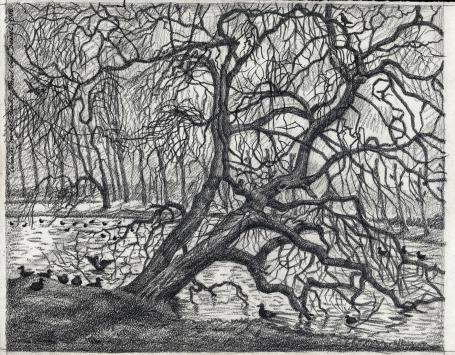 Potloodtekening van de Belgische kunstenaar Paul Van Dessel uit Antwerpen