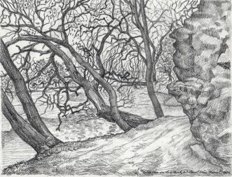 Potloodtekening van de Belgische kunstenaar Paul Van Dessel uit Antwerpen