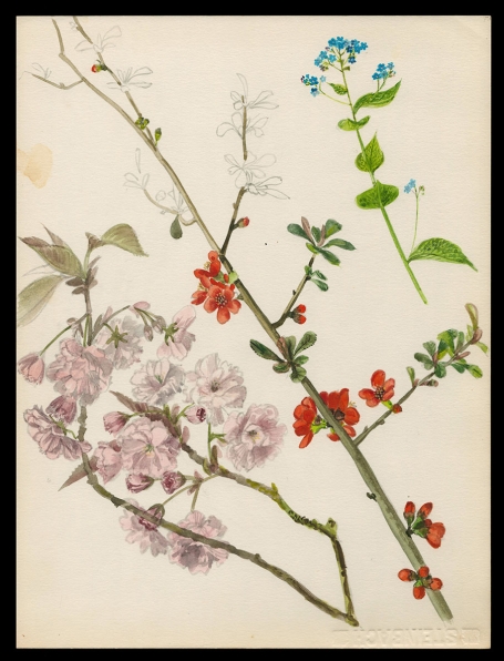 Kunstwerkje, aquarel van Pascal Van Den Steen