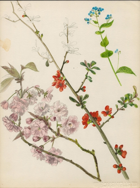 Aquarel van Pascal Van Den Steen kopen