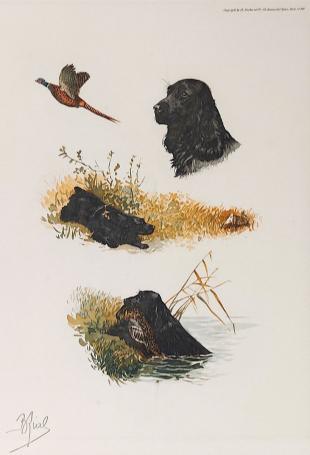 Grafisch kunstwerk van Boris Riab