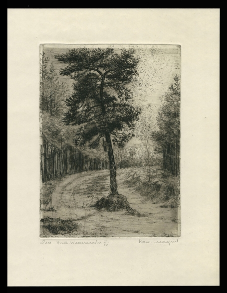 Ets van boom in Waasmunster geëtst door Romain Malfliet