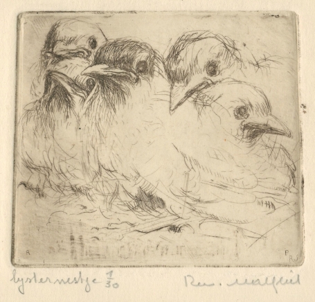 Belgische etser Romain Malfliet met een kleine ets