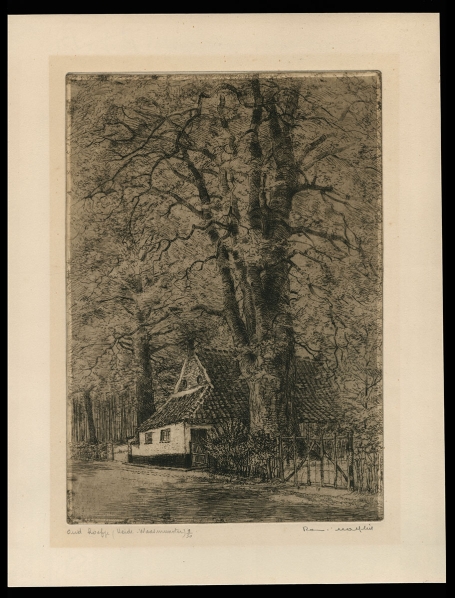 Ets, Waasmunster van Romain Malfliet kopen