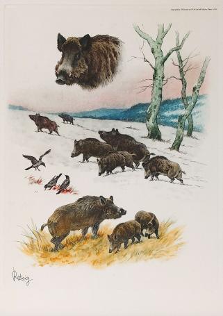 Franse kunstenaar Georges-Frédéric Rötig  met een grafisch werkje