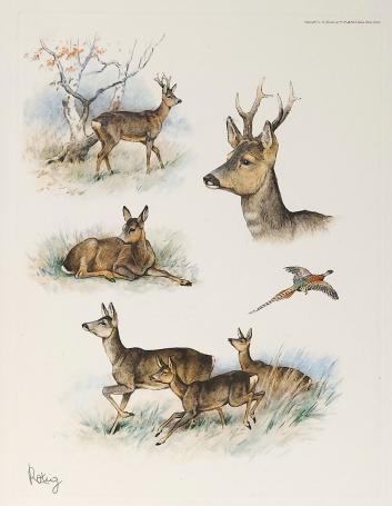 Georges-Frédéric Rötig  met een grafisch werkje