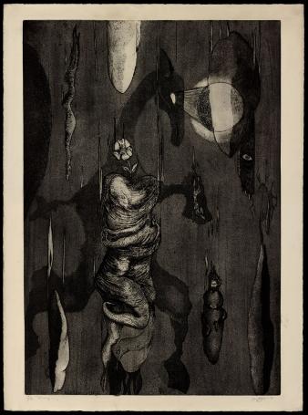 Kunstwerk van Roger Van Akelyen kopen