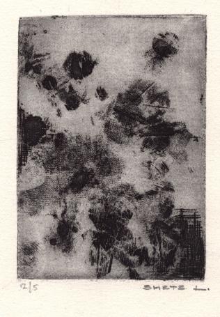 Grafisch kunstwerk kopen van L. Smets