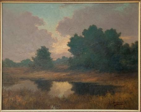 Belgische kunstenaar Jos Stokbroekx, het moeras