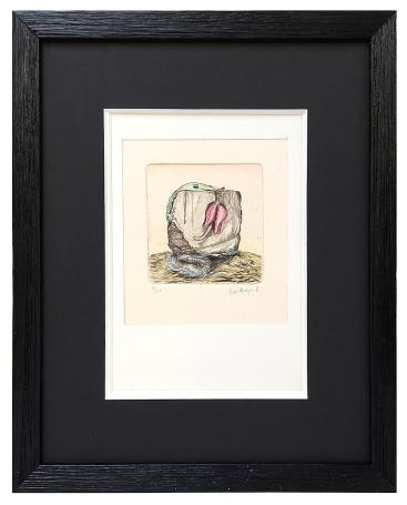 Kunstwerk van Roger Van Akelyen kopen