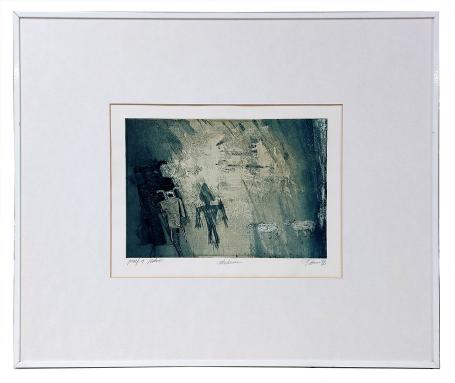 Gesigneerde helio uit 1993 van Veerle Rooms kopen
