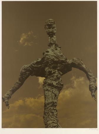 Offset print van Wilfried Pas kopen