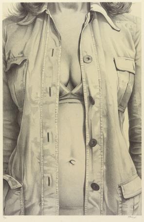 kunstwerk van de  Belgische kunstenaar Roger Wittevrongel