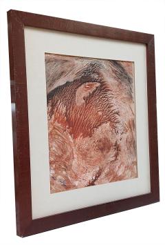 De Mechelaar Marieke Van Aeken