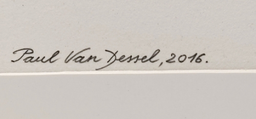 Lino van Paul Van Dessel kopen uit 2016