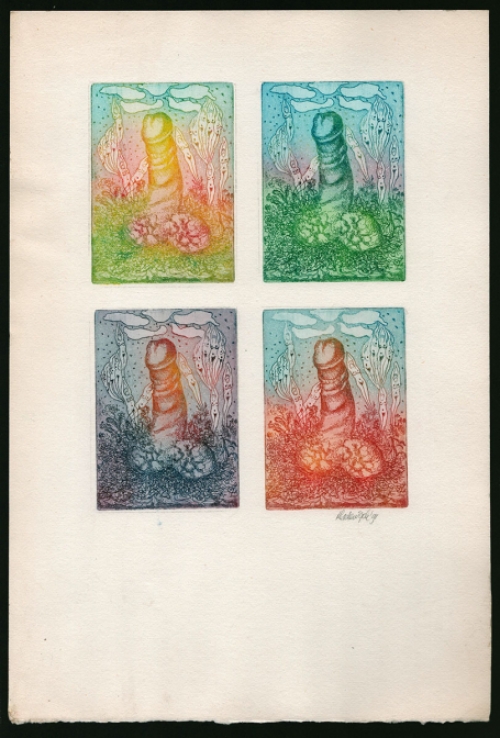 Een reeks etsen van Hadewijch Ouwendijk kopen