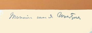 Het zicht van de schilder 163/165