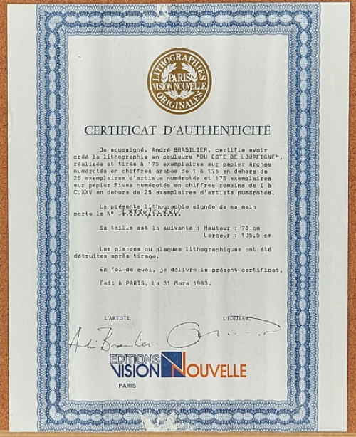 Originele lithografie van André Brasilier kopen