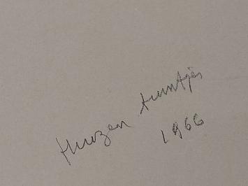 Huizen tuintjes 1966
