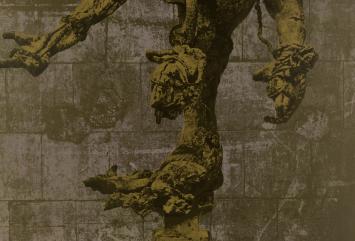 Belgische graficus Wilfried Pas