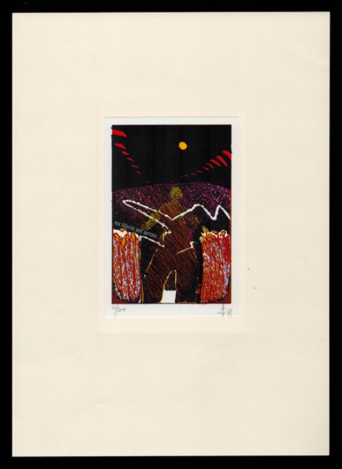 Belgische kunstenaar Alain Hautekiet