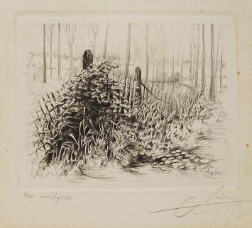 Ets van Albert De Vree, wildgroei