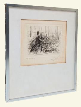 Wildgroei 7/50