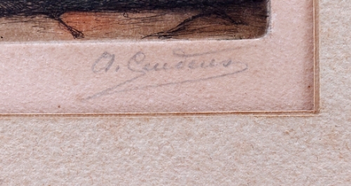 Kleurenets van A. Geudens