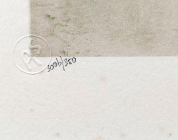 Straat in de herfst 300b/350