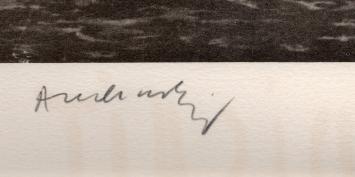 Ma chère... disait Sasuche 1974 49/120