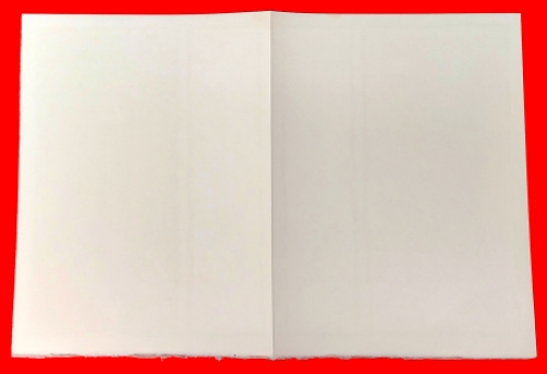 Litho van P. Alechinsky kopen uit 1979