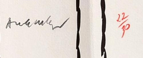 Litho uit Vacillations van Pierre Alechinsky