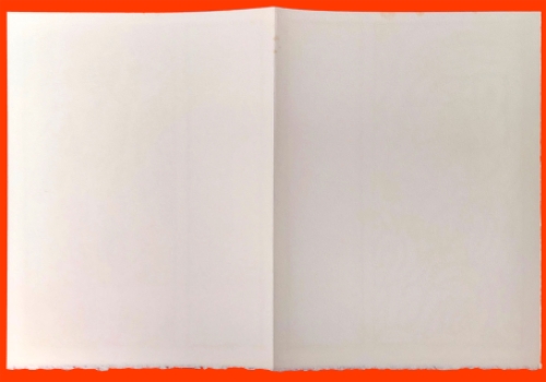 Litho van P. Alechinsky kopen uit 1979