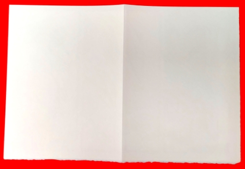 Litho van P. Alechinsky kopen