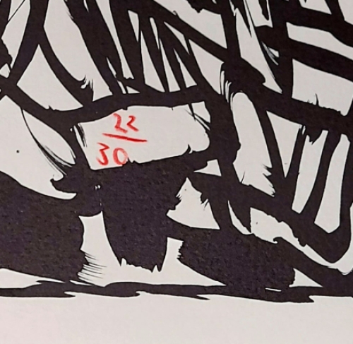 Litho uit Vacillations van Pierre Alechinsky