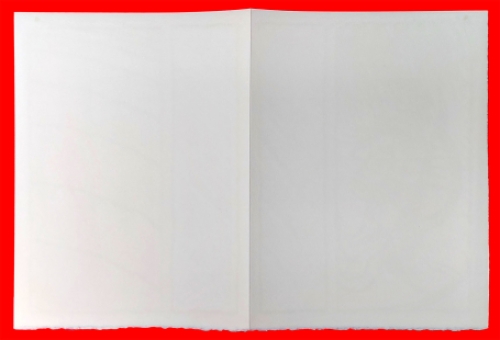 Litho van P. Alechinsky kopen