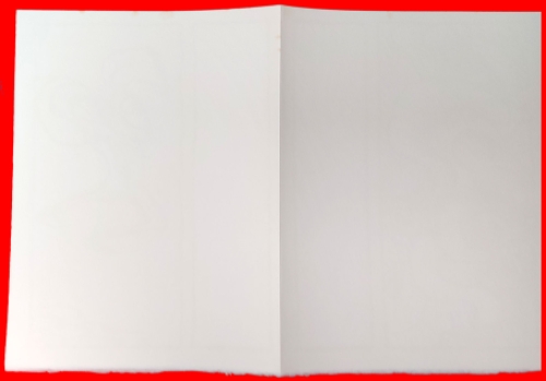 Genummerde lithogtrafie van P. Alechinsky kopen